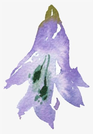 Hand-painted Cartoon Carnation Png Transparent - Portable Network Graphics #912841