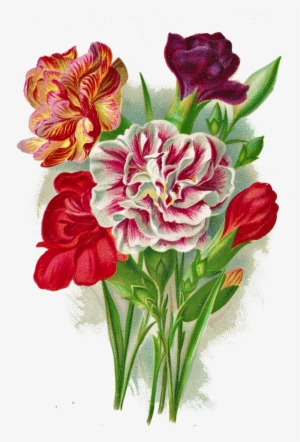 Http - //1 - Bp - Blogspot - Com/ Carnation Png Leaping - Flower Carnation Vintage Png #912842