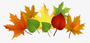 Autumn Leaves Clipart Pile Fall Leaves - Transparent Background Fall ...