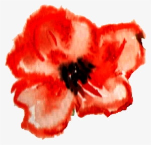 Festival International De Théâtre - Corn Poppy #913103