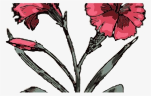 Carnation Clip Art At Clkercom Vector Clip Art Online, - Carnation Tattoo Designs #913269