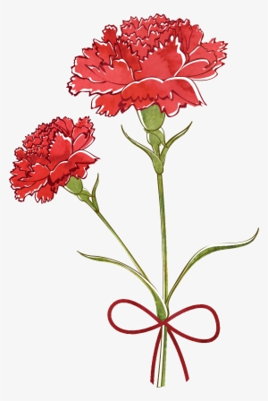 Flower Watercolor Painting Transprent Png Free Download - Carnation Watercolor #913277