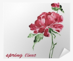 Peony #913500 Peony #913500