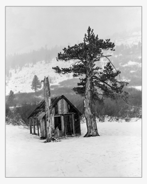 Old Cabin In Snow - Painting #913551