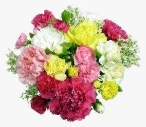 Classic Carnations Bouquet - Cut Flowers #913580