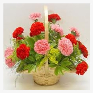 Good Night Flower Bangla #913721