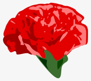 Carnation Garden Roses Drawing Computer Icons - Clip Art #913928