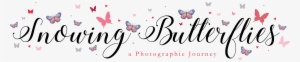 Thebutterflyboheme Crystal Bridal Head Wreath - Crystal #914010
