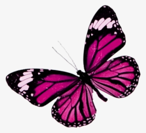 Mariposas Png Publicado Por Marina En - Dreams Huatulco #914037