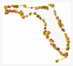 Florida "fancy Frame" Style - Florida #914146