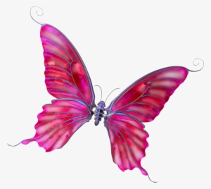 Visit - Free To Be Me Journal: Succeed: Level 3 #914149