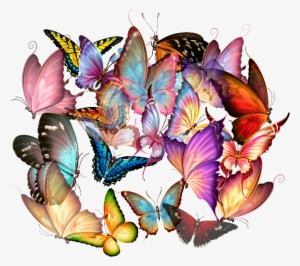 Mariposas Png Hd #914205