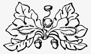 Black And White Leaf Border Clipart Free Clipart - Autumn Clipart Black And White #914254