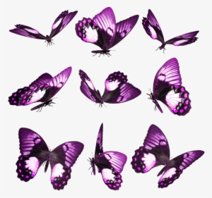 Hace Un Tiempo Estuve Traduciendo Una Guía Sobre Mariposas - Purple Butterfly On Finger Iphone 5 / 5s Case #914669