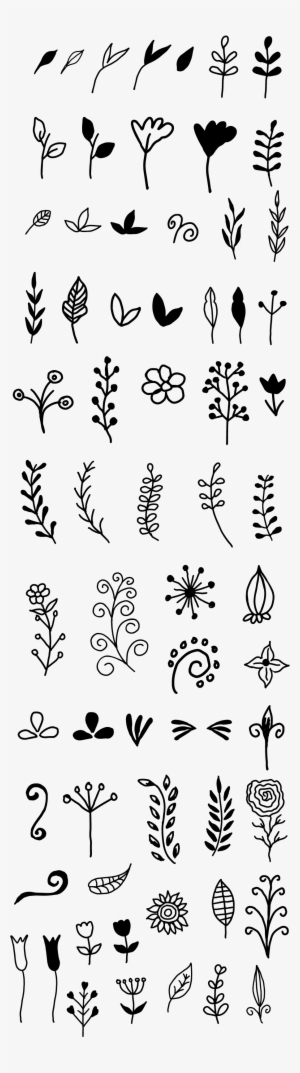 Hand Drawn Floral Vector - Calligraphy Doodles #916103