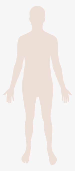 This Image Rendered As Png In Other Widths - Transparent Background Body Png #917311