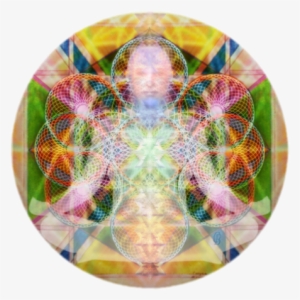 Embody-mind Chalice Chris Pringer 5'18 " - Essay #917622