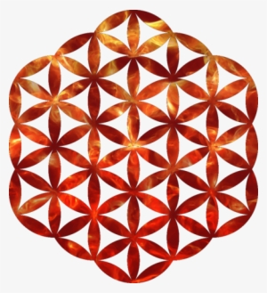 Fractal Geometry Which Is Then Reverse Engineered Back - Coldplay Flor De La Vida #917854