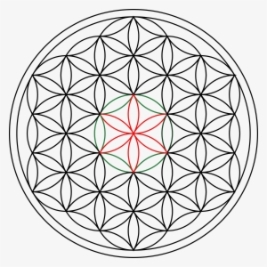 Sacred Geometry Lesson - Flor De La Vida Geometria Sagrada Pdf #918028