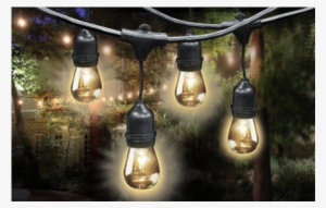 More Views - Feit 48 Led Filament String Light Set #918031