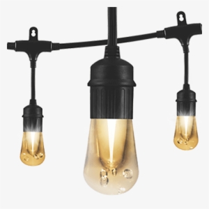 String Lights #918083