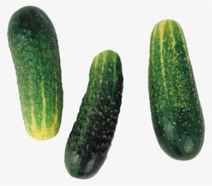 Visit - Огурец Клипарт На Прозрачном Фоне #918552