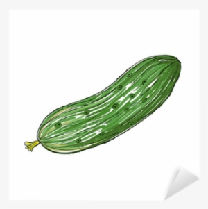 Watercolor Cucumber Isolated On White, Vector Image - Силуэт Огурца #918576