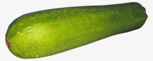 Zucchini Png Image - Zucchini Png #918734