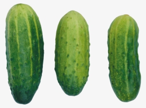 Png Cucumbers #918803