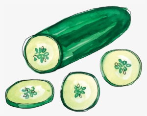 Cucumber June2018 Lyndsay - Portable Network Graphics #918828
