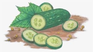 Szwedzka - Cucumber #918892