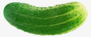 Cucumber - Cucumber Png #919120