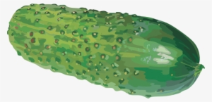 Cucumber Png Free Download - Watercolor Cucumber Png #919333