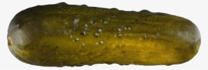 Pickle #919608 Pickle #919608