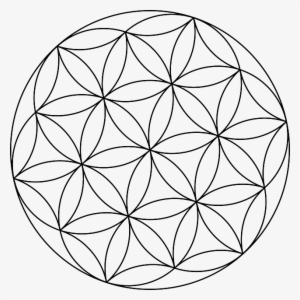 Clip Black And White Library Circle Design Drawing - Seed Of Life Png #919690
