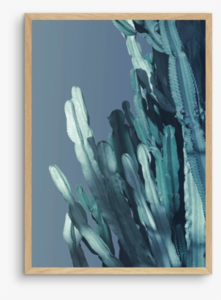 Cactus In Blue No 1 - Picture Frame #9100471