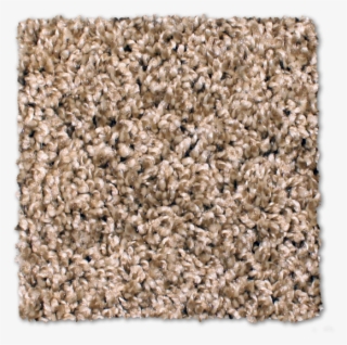 Buy Cape Hatteras By Phenix Shag Texture - Carpet #9100637