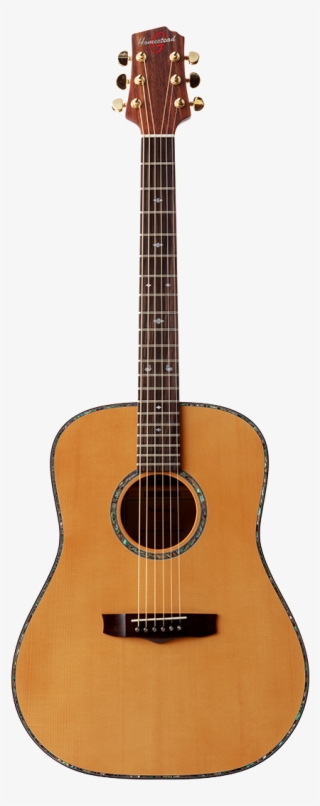 Dreadnought - Acoustic Guitar Vector #9101154