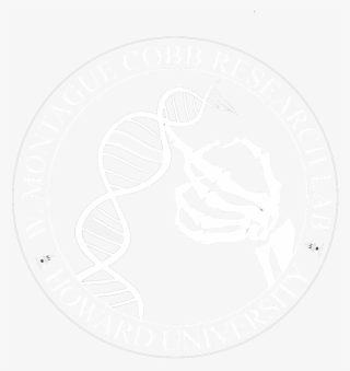 Cobb Seal Clear White - Sketch #9102331