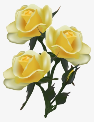 Фото, Автор Soloveika На Яндекс - Yellow Rose Drawing Png Transparent #9103066