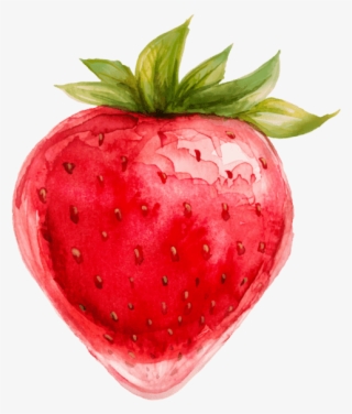 Strawberry Illustration Fruit - نقاشی توت فرنگی با آبرنگ #9103163