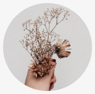Tumblr Aesthetic Brown Flower Flowers Png Brown Tumblr - Aesthetic Brown #9103351