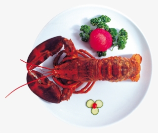 Seafood Boil #9105281