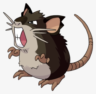 Hold On Tight And Don't Look Back 19-20/807 Variations - Raticate Pokemon #9107262