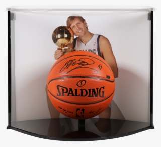 Categories - Spalding #9110311