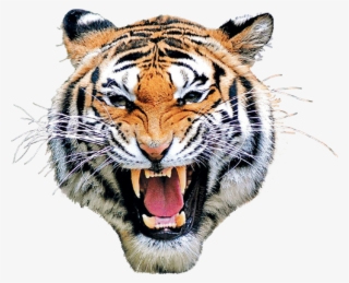 #tiger #mask #head #eyes #animal #animalface - Tiger Of Bangladesh #9110521