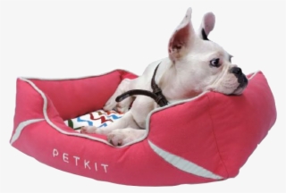 Cama De Viscolástica Para Perros Y Gatos Petkit Petbed - Cama Para Perros Png #9110522