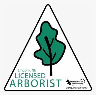 Lincoln Parks And Rec Arborist, One Life Tree Service - Lincoln Parks And Rec #9111504