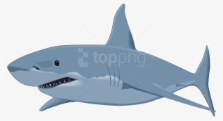 Free Png Download Shark Image Clipart Png Photo Png - Great White Shark Clipart #9111505