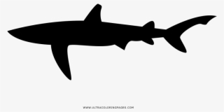 Shark Coloring Page - Carcharhiniformes #9111555